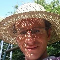 Steve Wolff