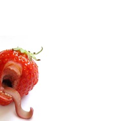 TheChemicalStrawberries