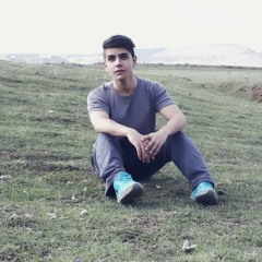 Alireza