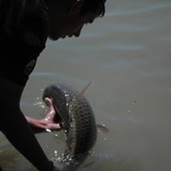 Xavi Oliva Fernandez