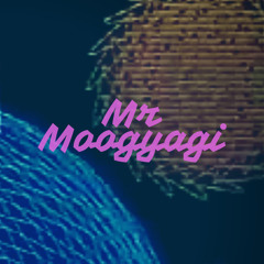 Mr Moogyagi