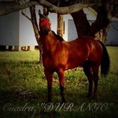 Cuadra Durango