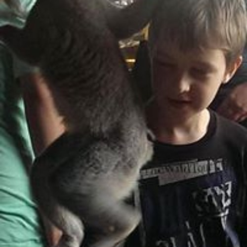 Stream xxxass@assxxx music | Listen to songs, albums, playlists for