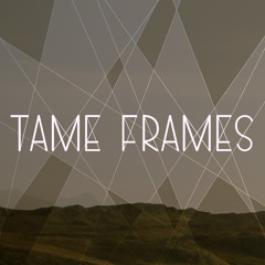 tame frames