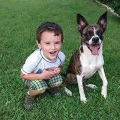 Cassandra Halberstadt