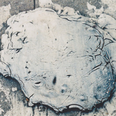 Donald Warner Shaw III