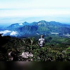 Zhep Vixioners Mania