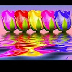 Startinganewlife Harris