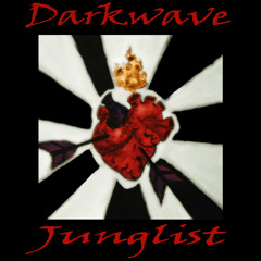 Darkwave Junglist