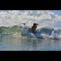 Hayden Mclean