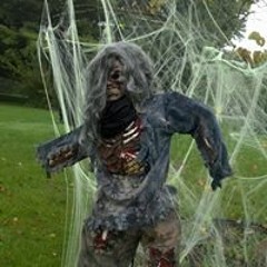 ZuesAndrea Erickson Lee