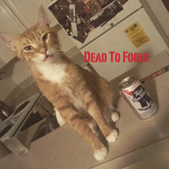 Dead To Fools