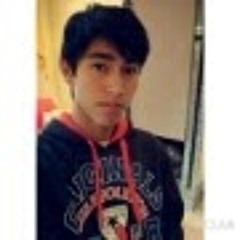luiz andré salvaro