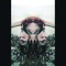 Lucid Nyx