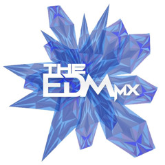 THE EDM MX