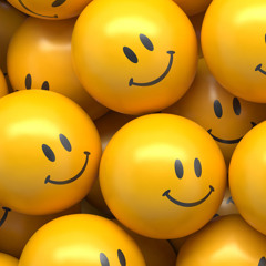 Vincent van den Breemen