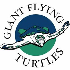 Giant Flying Turtles