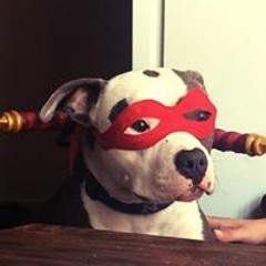 Jessica Lynn Poljanac