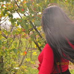 Shay
