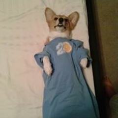 Vanni Taing DiZoglio