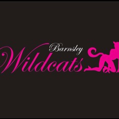 Wildcats Barnsley