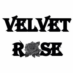 Velvet Rose
