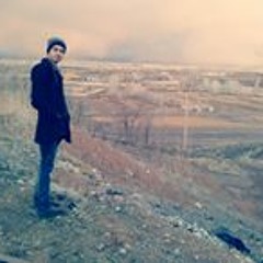 user745168236