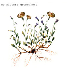 LukeGreenhalghGuitar