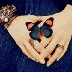 Nehad Alassad