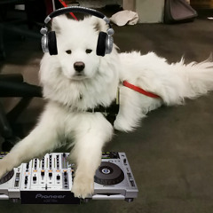 DJ Perun