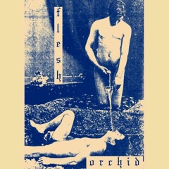 FLESH ORCHID