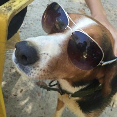 larinha