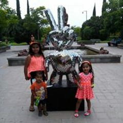 Felix Ibarra Linares