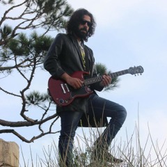 Guitarist wael malaeb