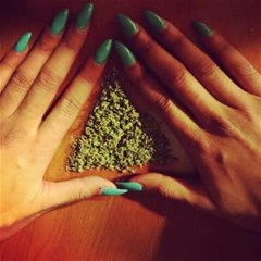 The Cannabis Lounge