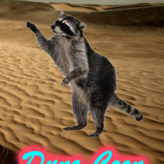 Dune Coon