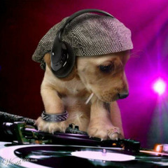 Dj DogDrop