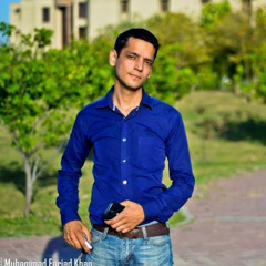 Zulqarnain Jameel