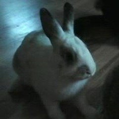 Stefanie Lena Polomski