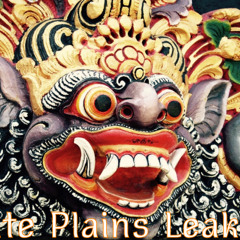 White Plains Leakers