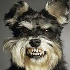 Lloyd Stephen Knight