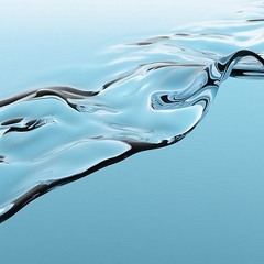 a sad march of fleas