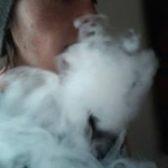 Tory Partyhard Geier