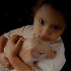 Sandra Bacchetta-Anderson