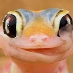 billy “Mackenzie bob