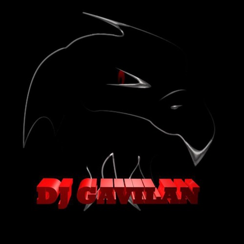 DJGAVILANMIXXX’s avatar