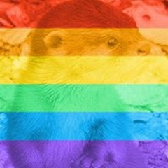 Maria Rosaria Cacace