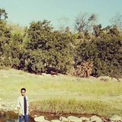 Pakshal