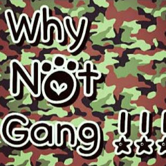 Official WHYxNOTxGANG