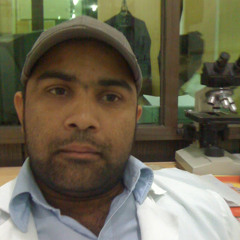 Sajid Kamran